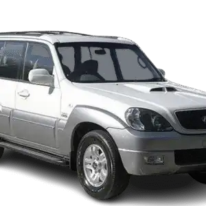 Windscreen Wiper Blades for Hyundai Terracan 2001-2008 (HP)