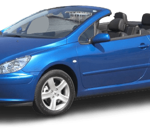 Windscreen Wiper Blades for Peugeot 307 2003-2005 (T5) Convertible