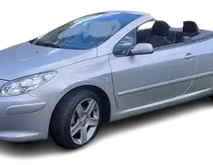 Windscreen Wiper Blades for Peugeot 307 2005-2009 (T6) Convertible